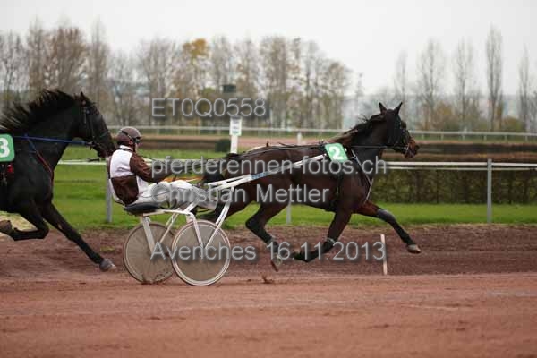 ET0Q0558 prot